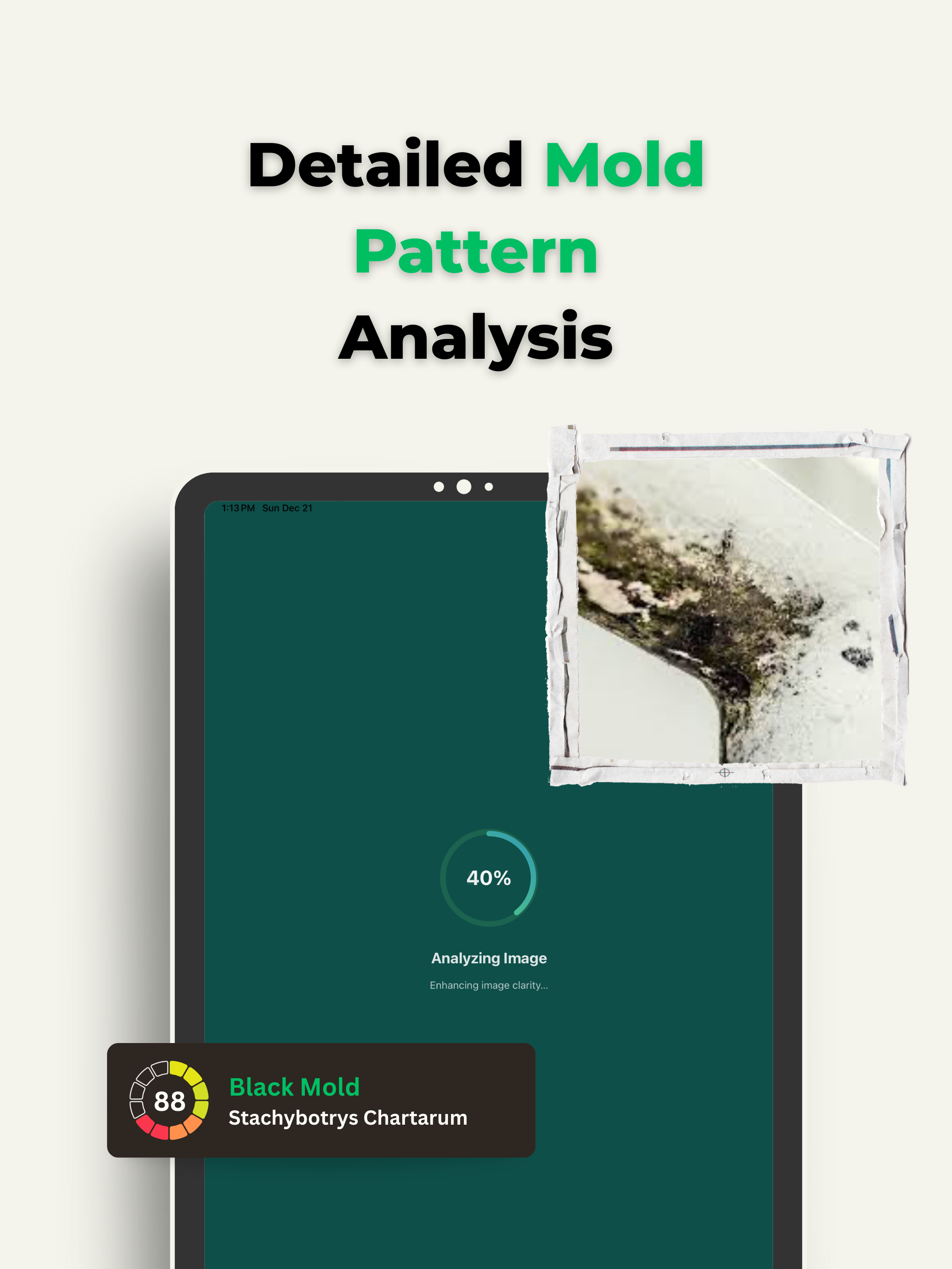 Mold Identifier: Fungi AI Scan screenshot 8
