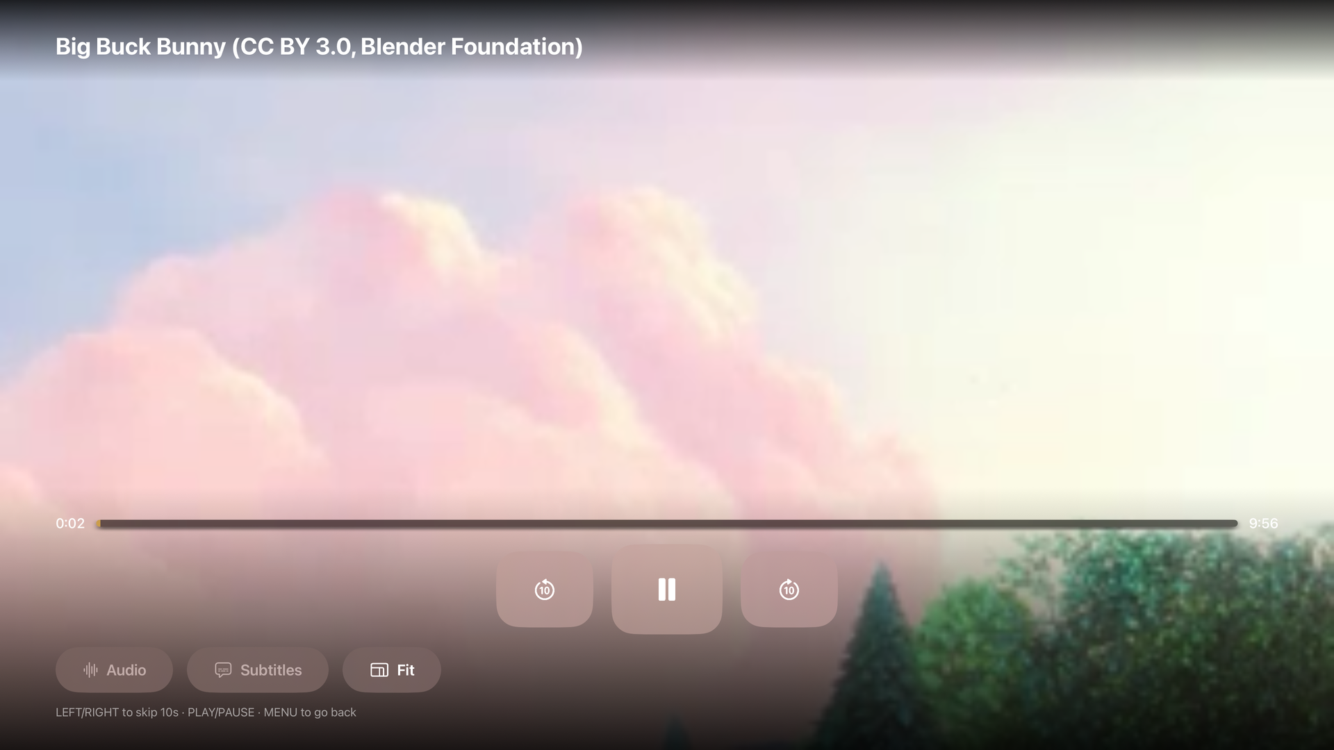 AroPlayer screenshot 6