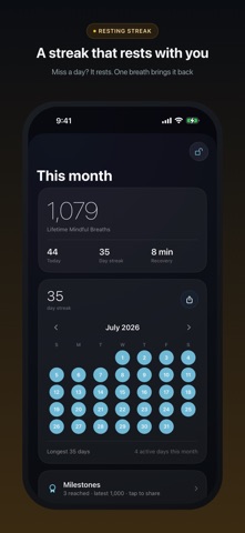 BreathMate Breathing Exercises Screenshot 7 of 9