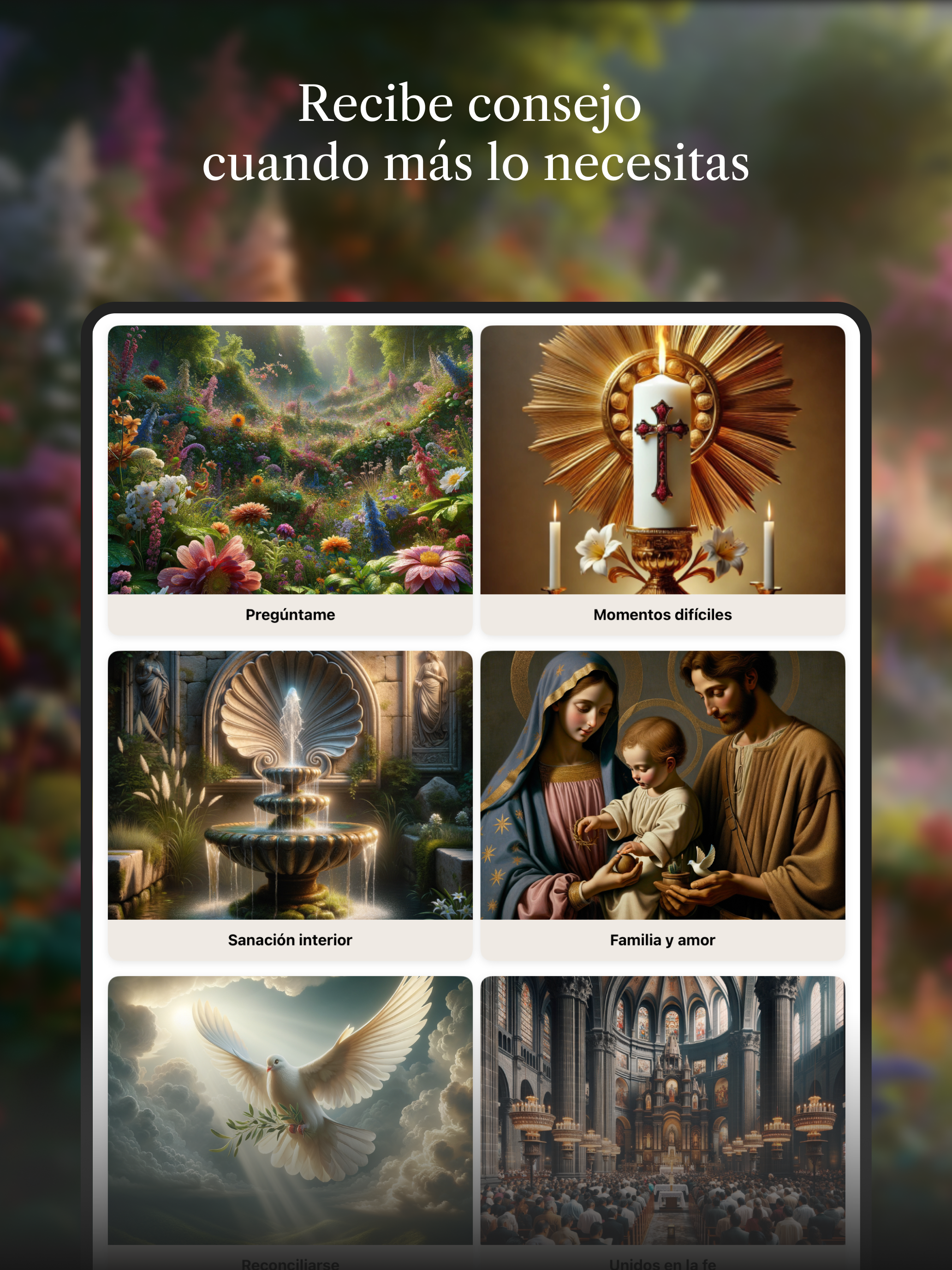 Mi Guía Católica screenshot 13