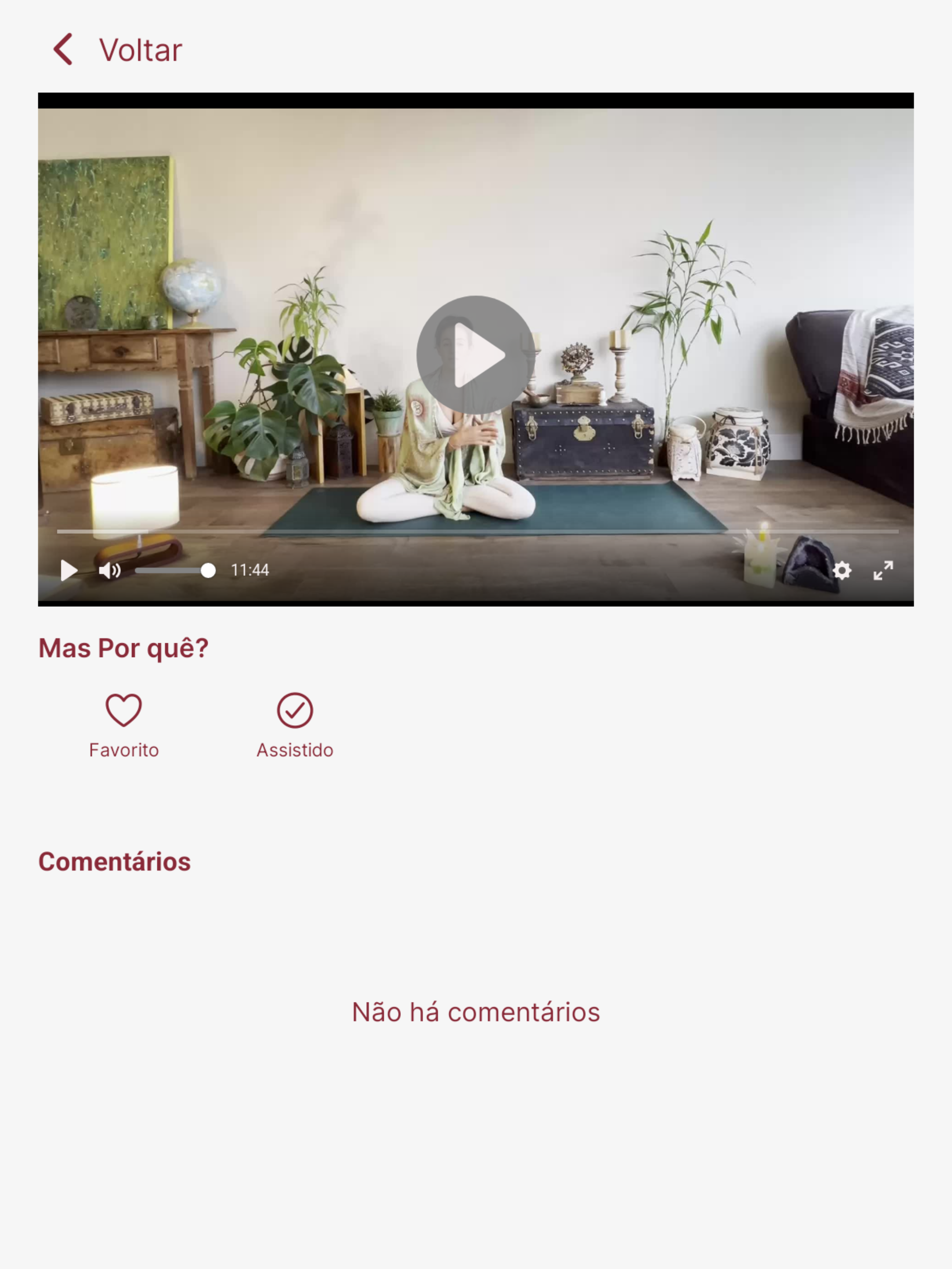 PRYON screenshot 9