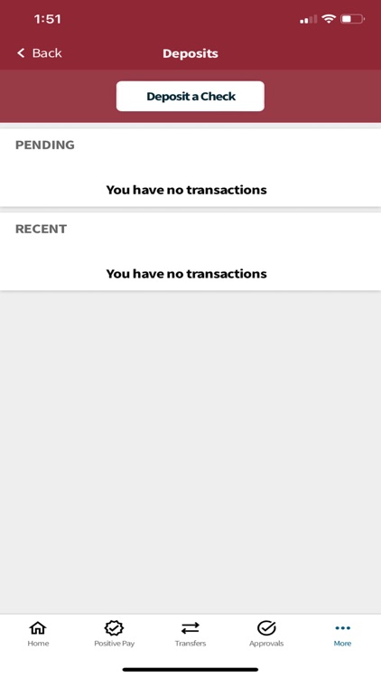 Commercial Bank Business - MI