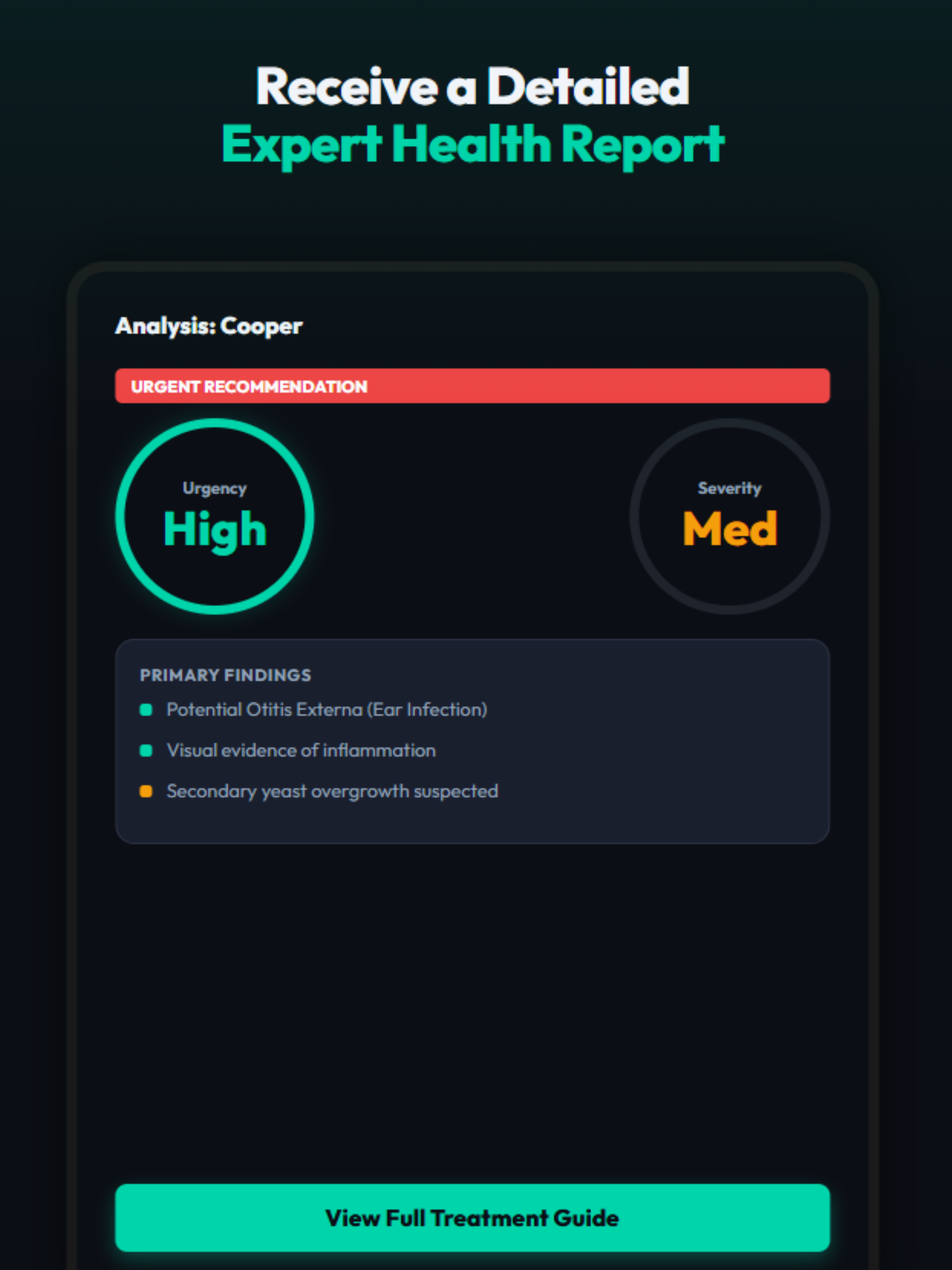 PawVet · Dog Health Advisor
