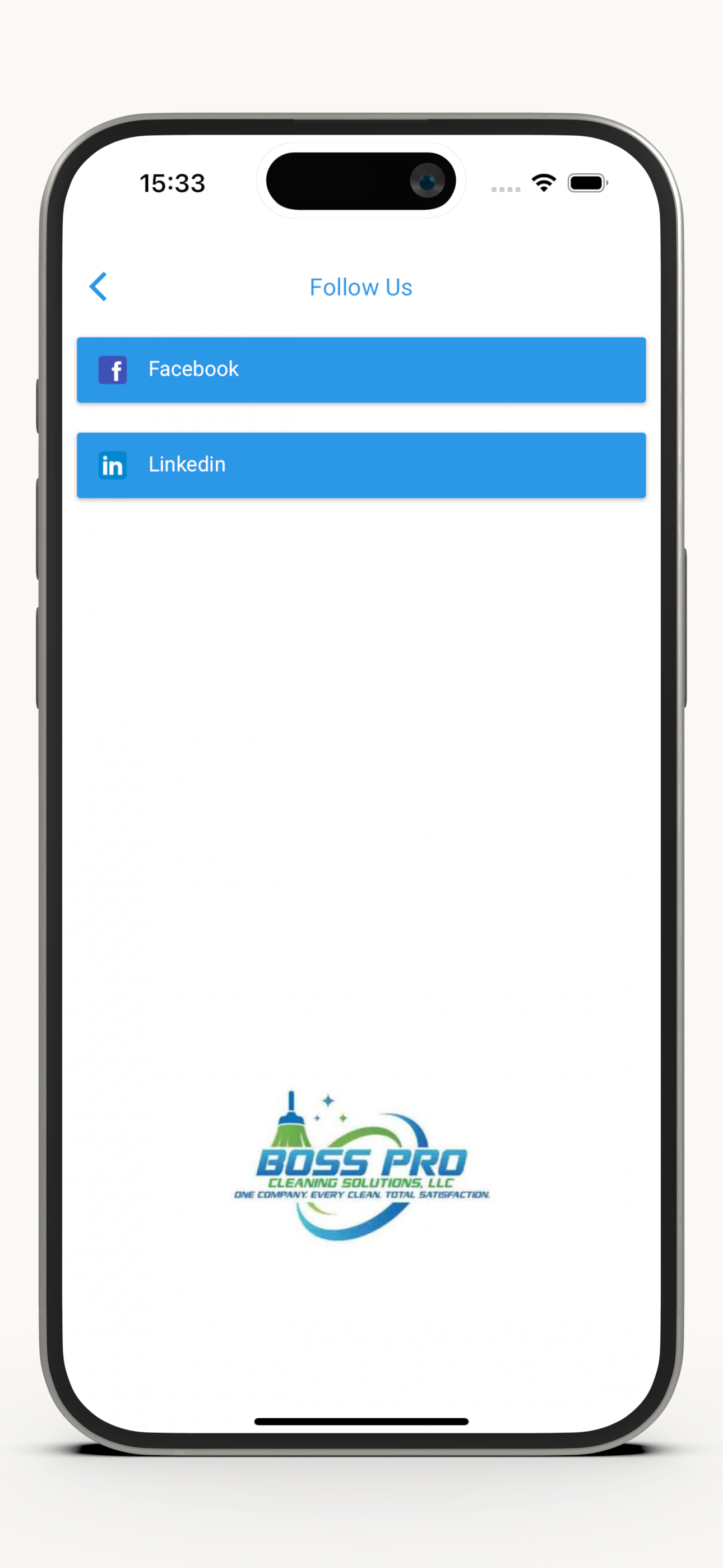 Boss Pro Cleaning screenshot 3