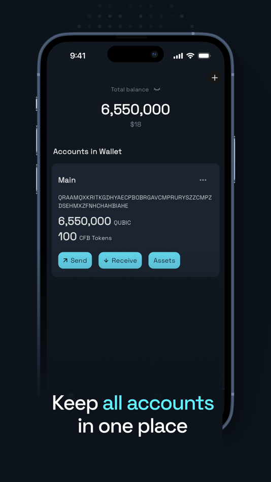 #2. Qubic Wallet (iOS) 由: Qubic.org
