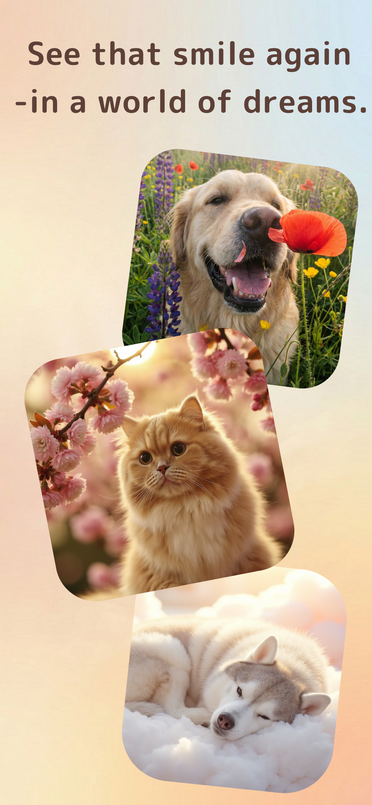 Rainbow AI: Pet Loss Reunion