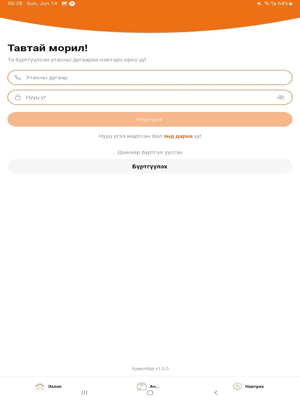 iPad screenshot