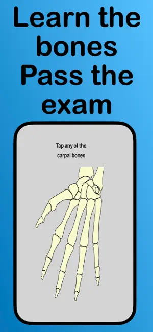 Bones of the body screenshot 1