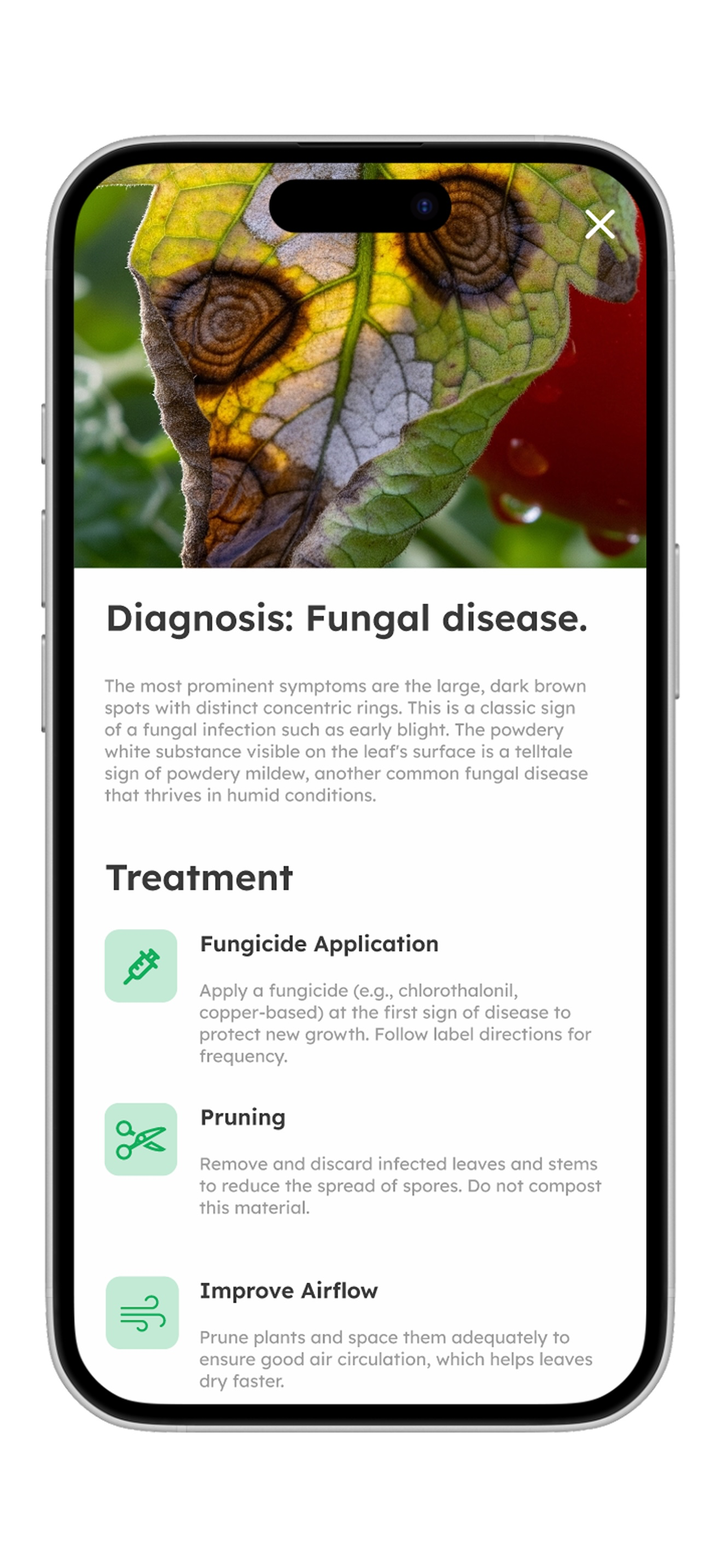 Plant Doctor | Planter