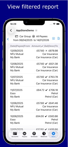 iNetWorth Screenshot 10 of 10