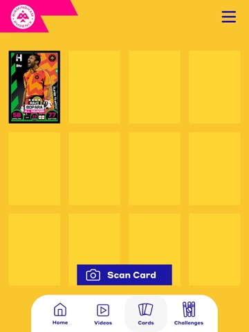 Dynamos Cricket iPad screenshot