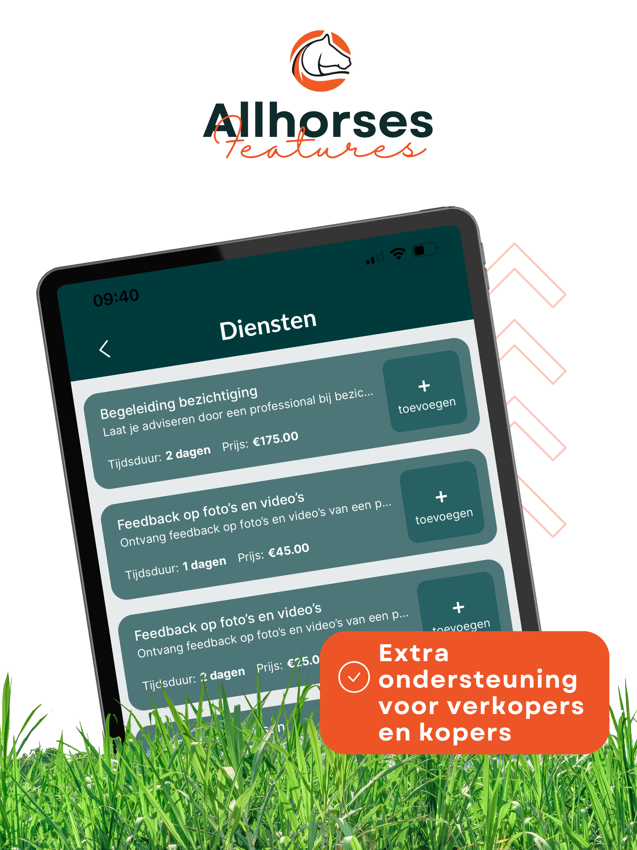 AllHorses