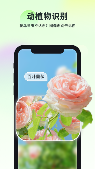 智能识万物 Screenshot