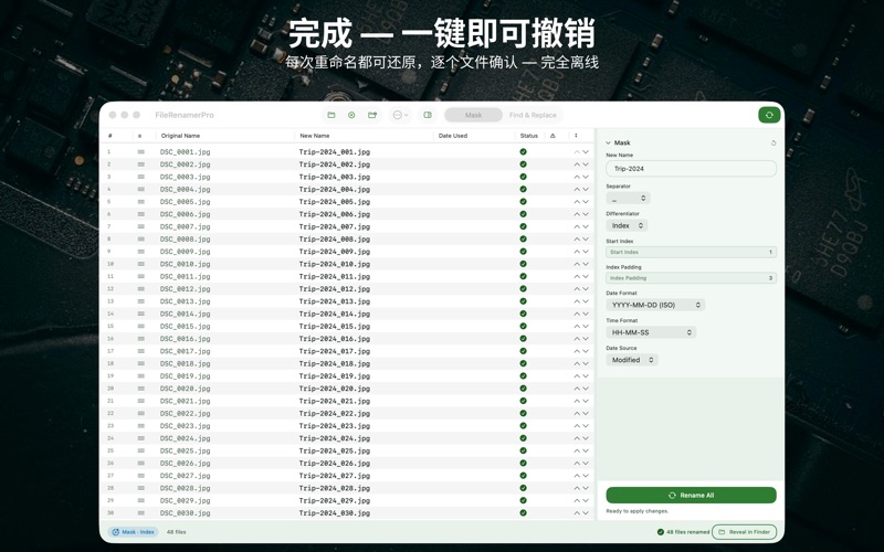 File Renamer Pro screenshot