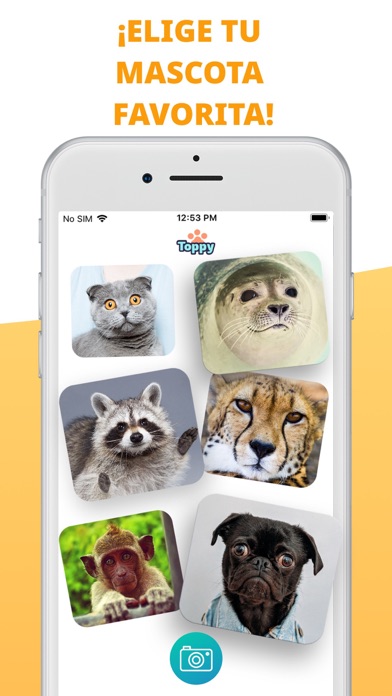 Toppy - Mis Animales Parlantes