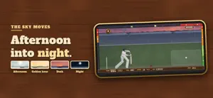 Howzat! Cricket Arcade screenshot 2