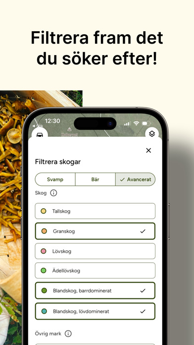 Hitta Skog: Svamp och Bär Screenshot