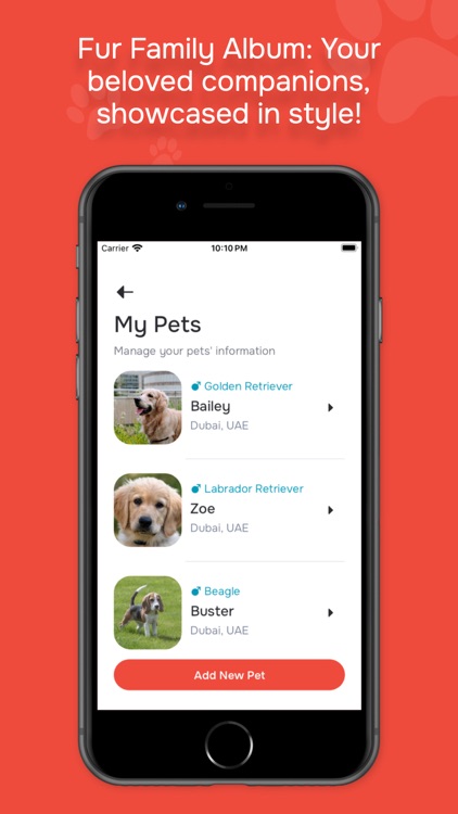 Wagglor screenshot-7