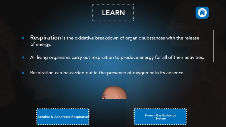 Cellular Respiration Process
