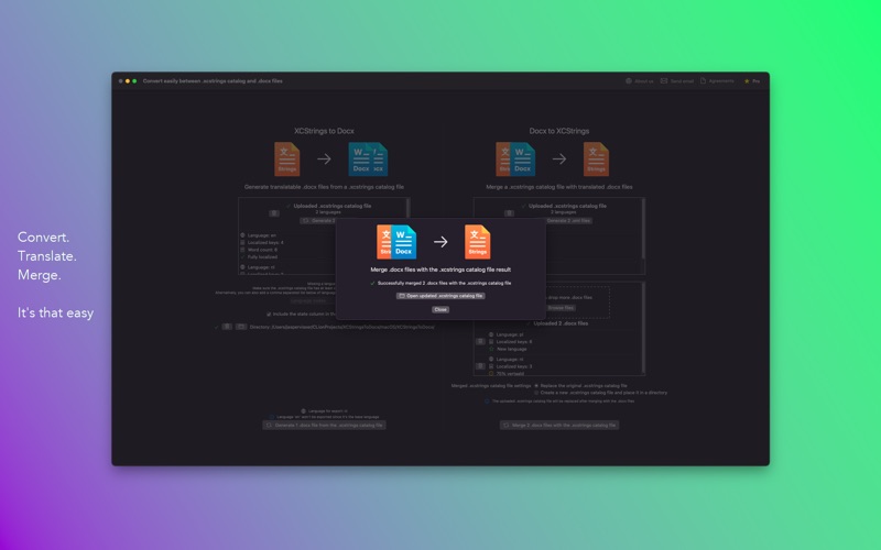 XCStrings Catalog Docx Convert screenshot