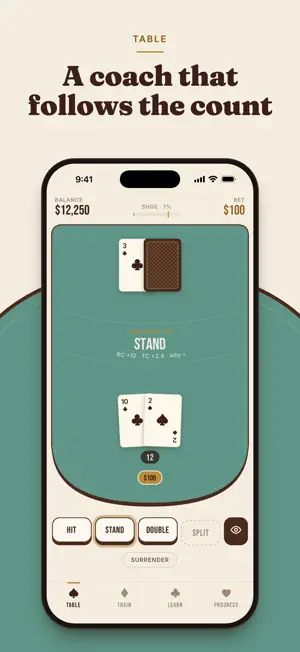 Deckard: Card Counter screenshot 1