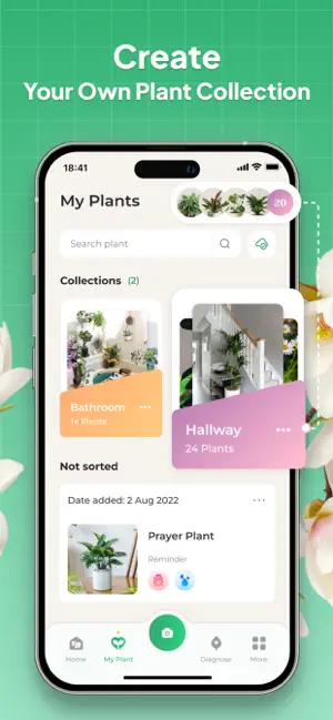 Plant Identifier: LeafSnap screenshot 2