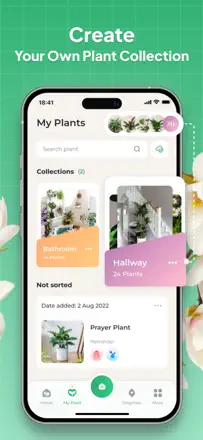 Plant Identifier: LeafSnap : capture d’écran 2 sur 6
