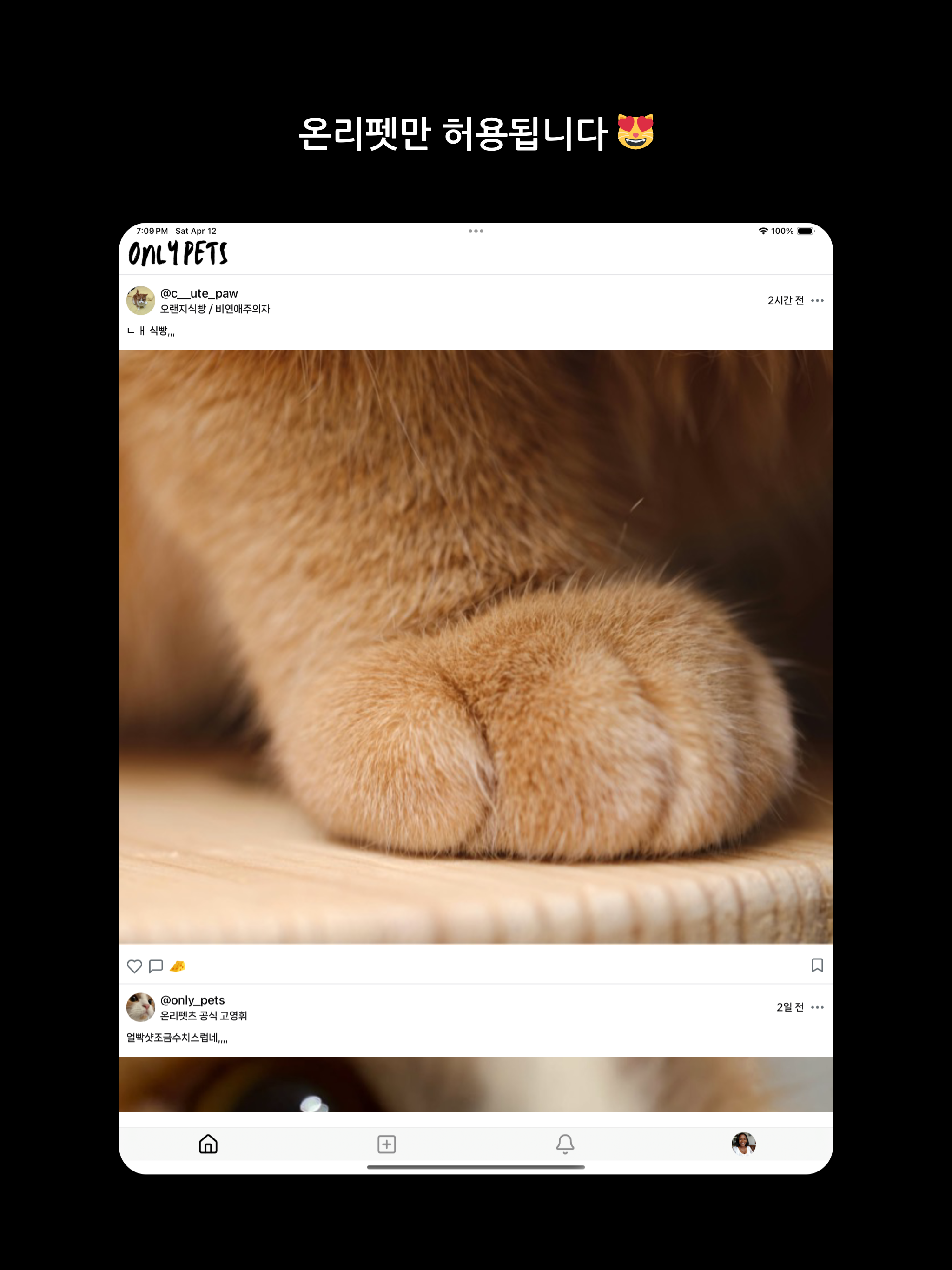 온리펫츠 screenshot 4