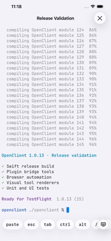 OpenClient for OpenCode iPhone screenshot 8