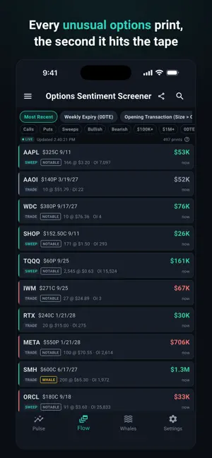 Options Sentiment Screener screenshot 2