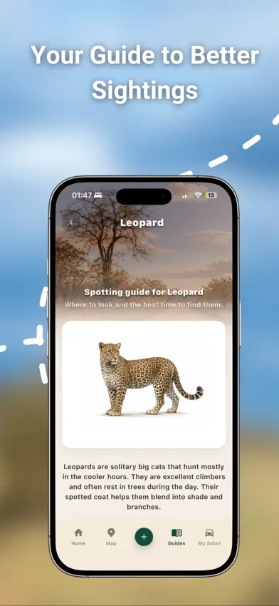 Kruger Park - Safari Spotter screenshot 4