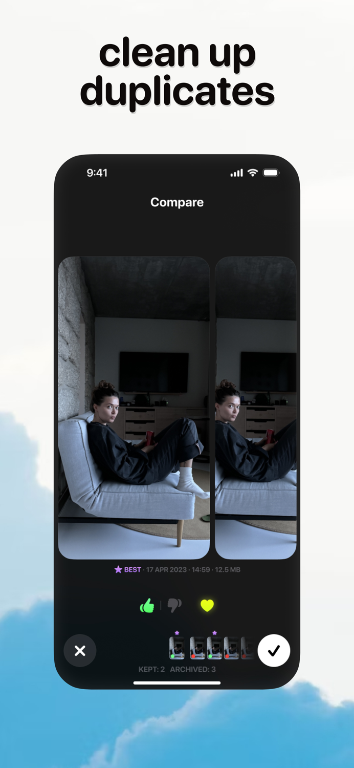 Photo Organizer Picnic