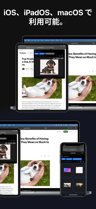 Img Picker Web Extension screenshot 4 of 4