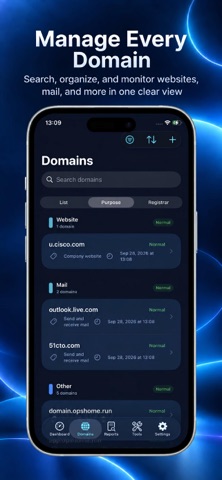 Domain Checker: DNS & SSL iPhone screenshot