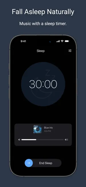 Music Mode screenshot 4