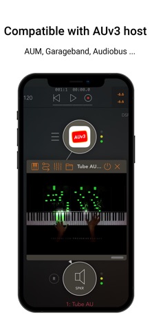 Tube AU: Audio Unit Player Screenshot 4 of 5
