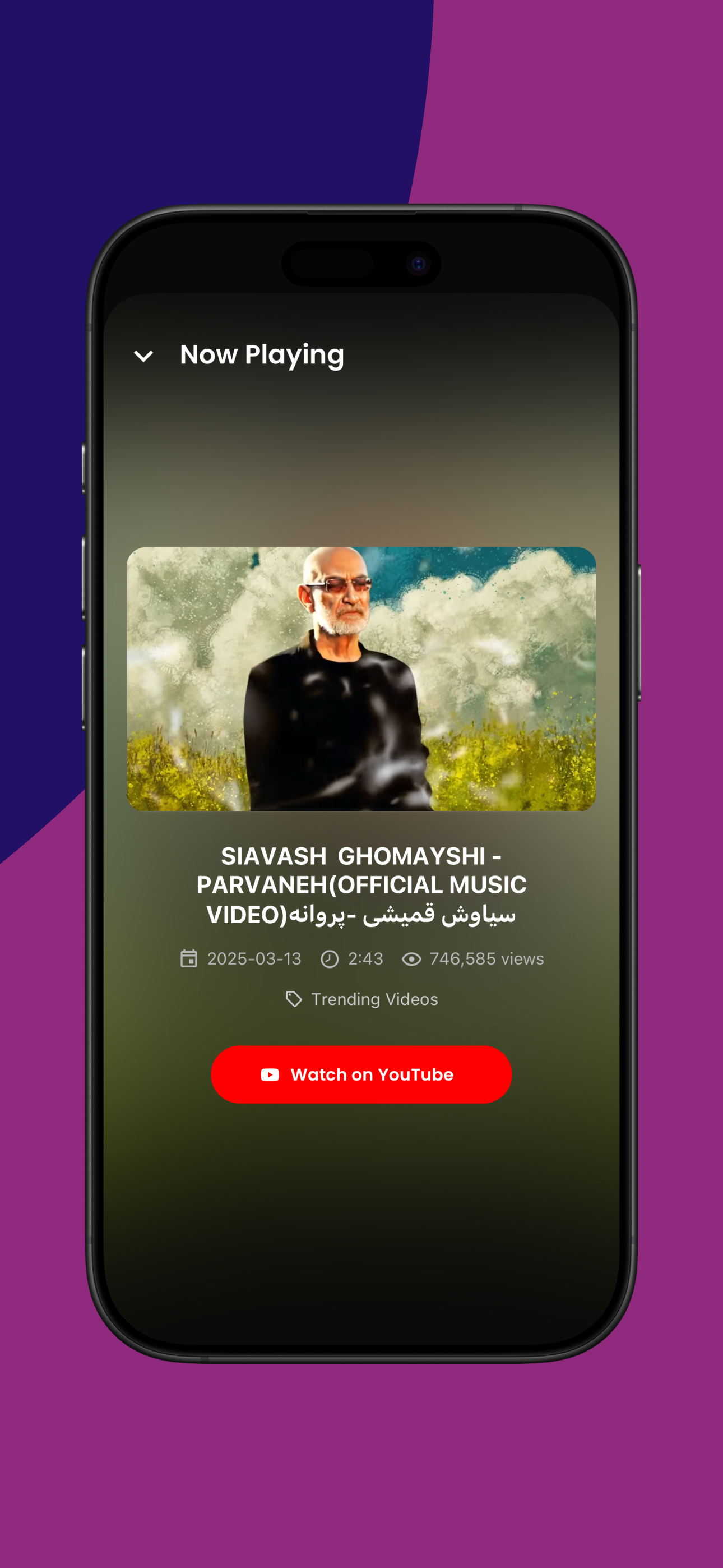 Taraneh Records screenshot 7