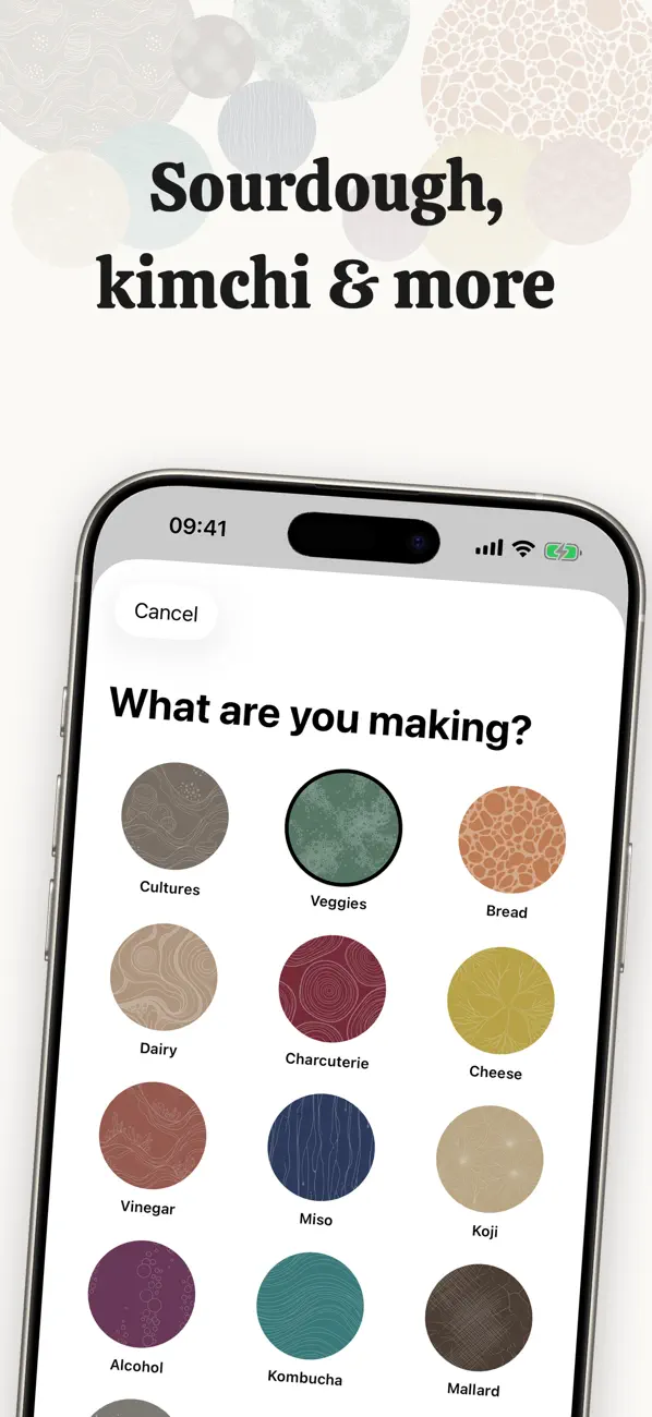Fermentation Journal: Fermento iOS app screenshot showing feature 4