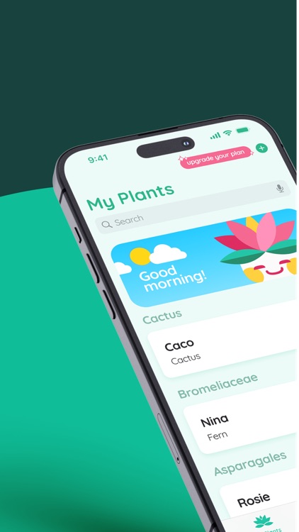 Hana: Plant Care