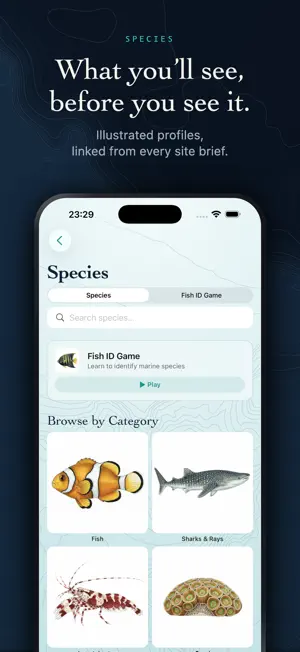 Below: Scuba Dive Log & Sites screenshot 3