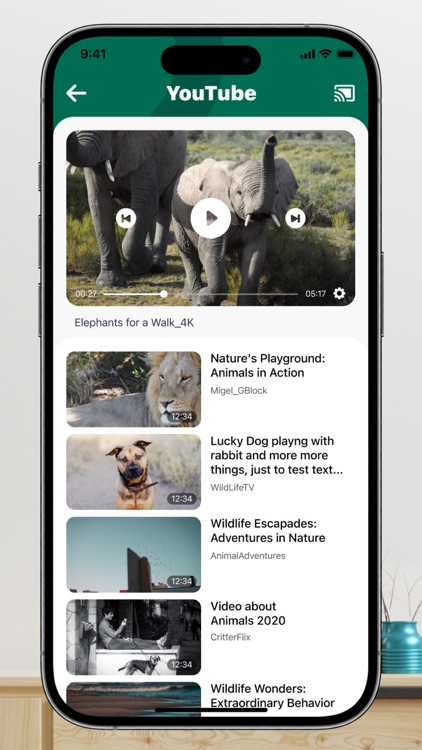 Screen Mirroring・Smart View TV screenshot-6