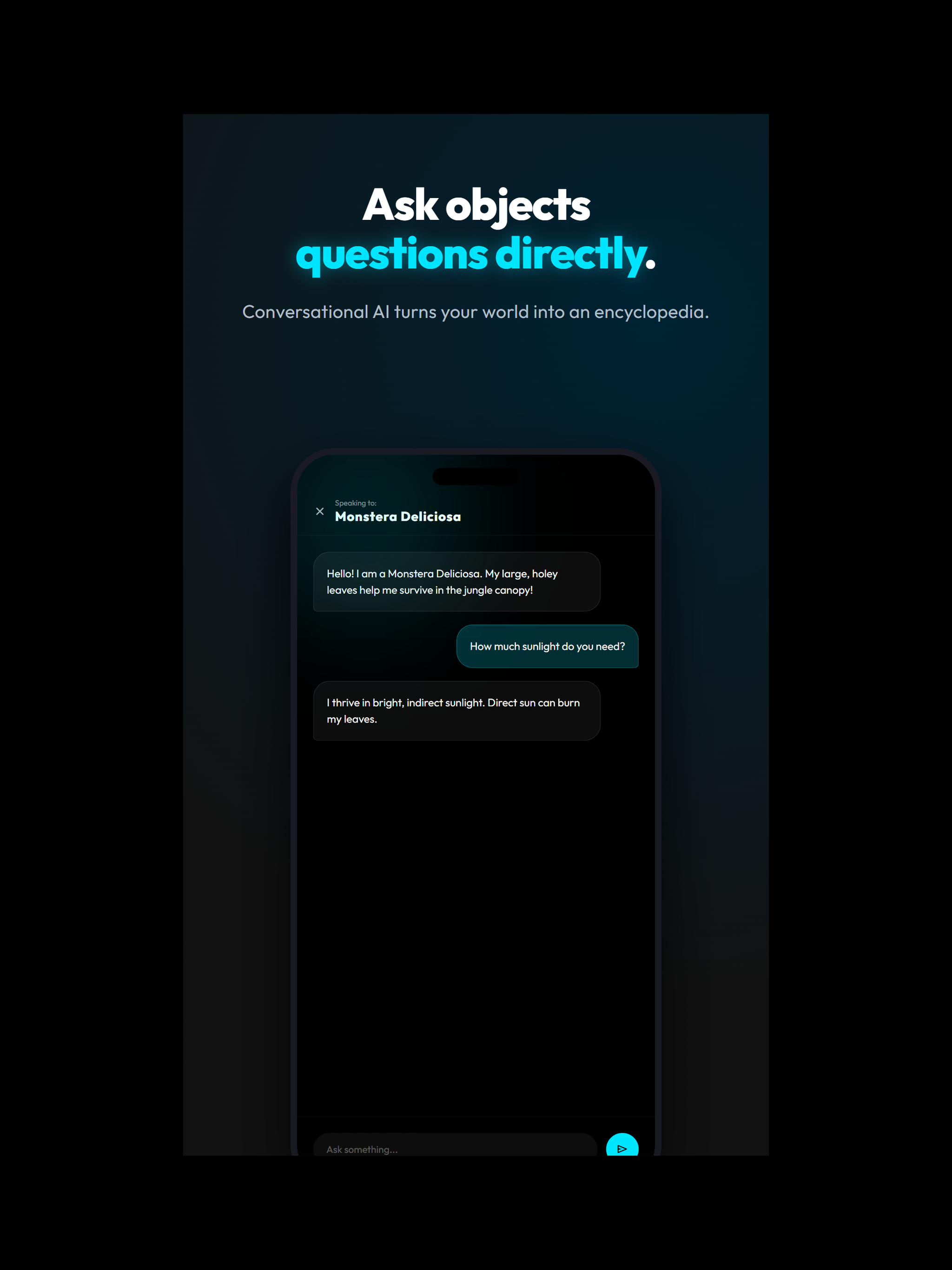 Identify Anything AI screenshot 6