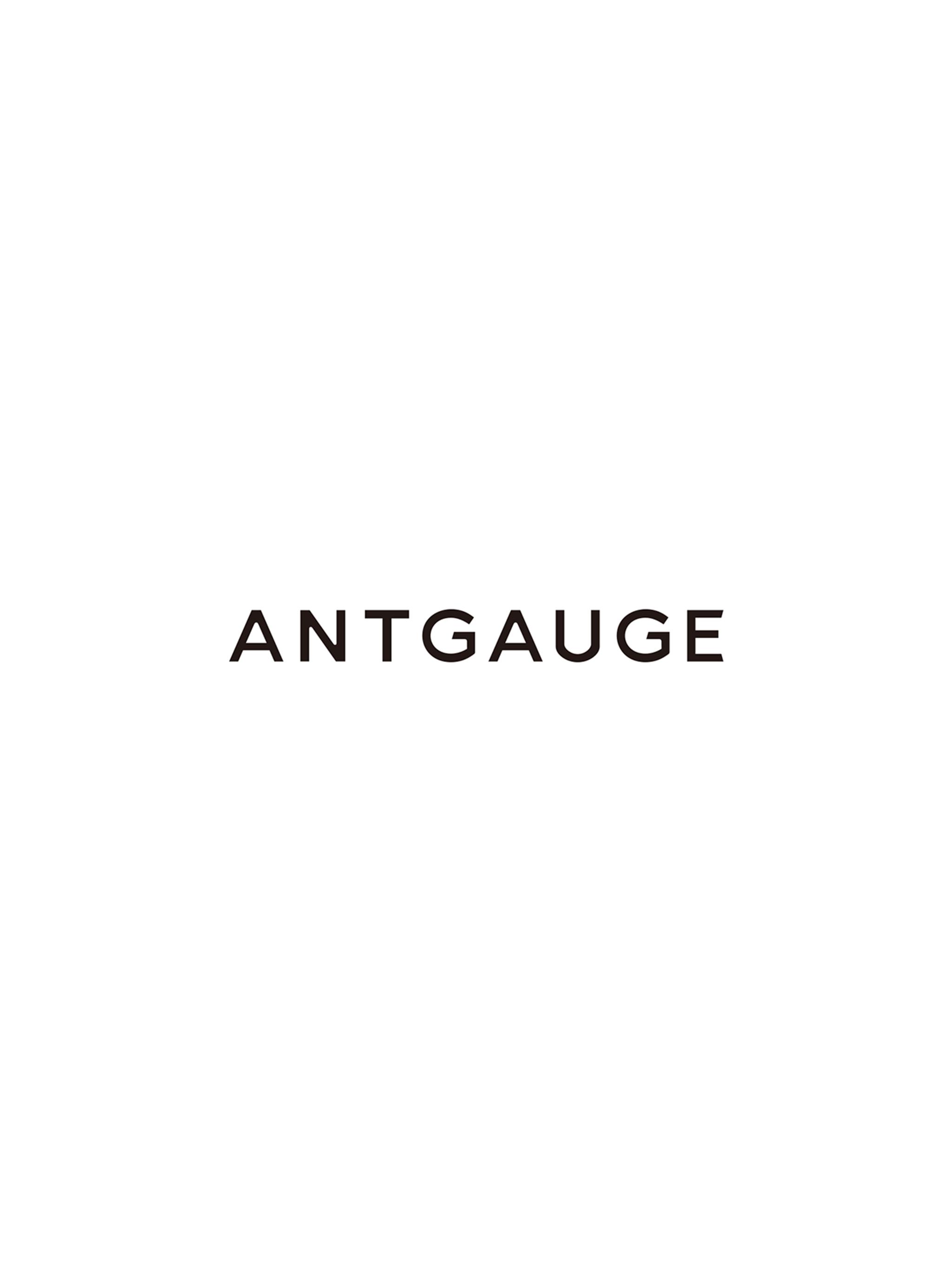 ANTGAUGE（アントゲージ） screenshot 4