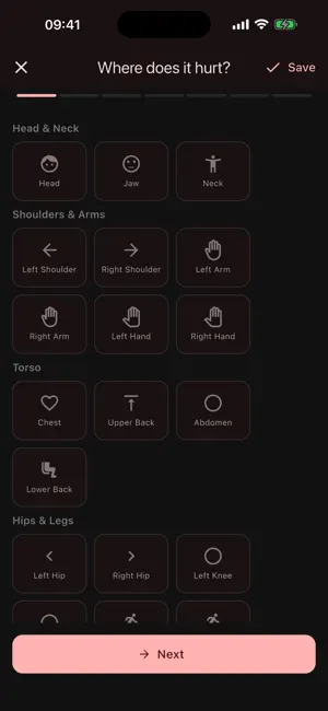 PainChronicle screenshot 2