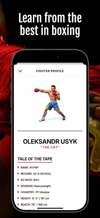 Boxing Workout: Training Screenshot 7 of 8
