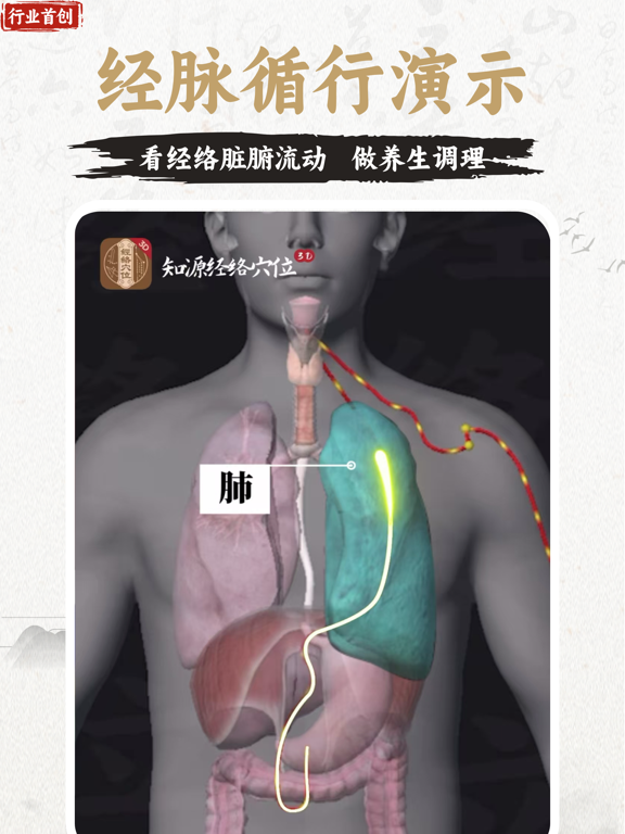 知源经络穴位-中医经络穴位针灸艾灸按摩养生舌诊中草药识别大全 iPad screenshot 4 - Health & Fitness app