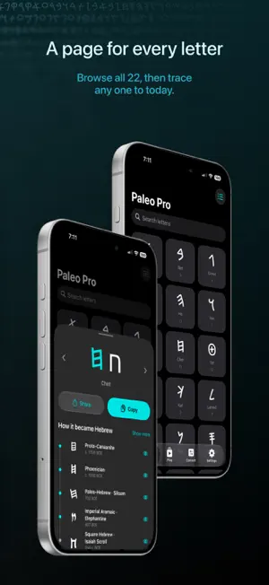 Paleo Pro: Hebrew & Phoenician screenshot 1