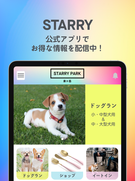 STARRY：仙台泉ヶ岳にあるドッグラン併設セレクトショップ