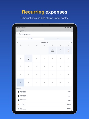 SAVY Budget iPad screenshot
