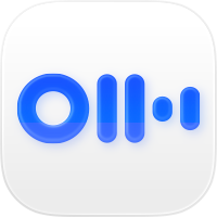 Otter Transcribe Voice Notes